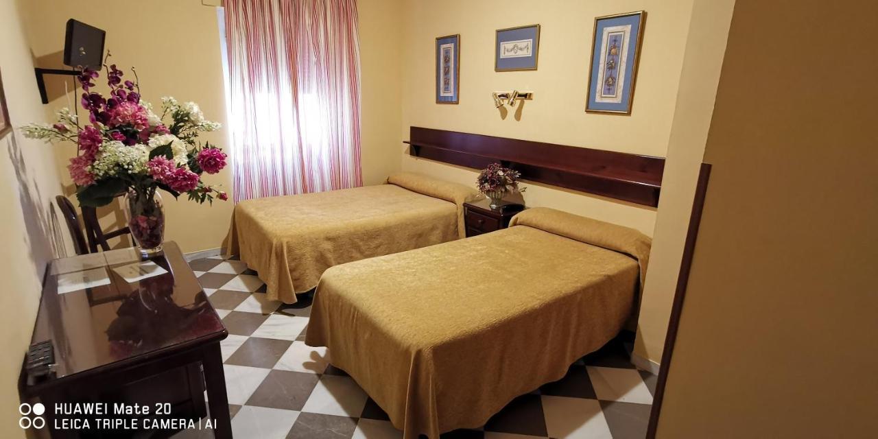 Hotel San Pedro 卡莫纳 外观 照片